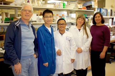 UCLA’s Leonard Rome, Meng Wang, Danny Abad, Valerie Kickhoefer and Shaily Mahendra discovered that nanoscale “vaults” containing enzymes were effective at cleaning polluted water. Photo credit: Tunde Akinloye/CNSI